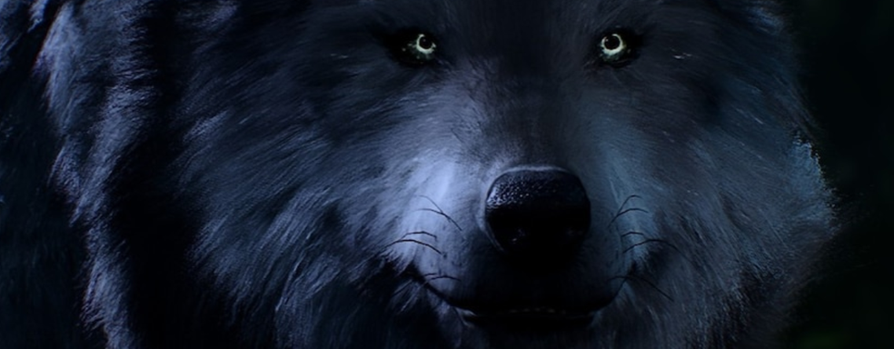 В QIWI пропала возможность пополнения баланса Steam рублями