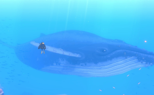 Dave the Diver Officially Translated to Russian. Mintrocket Introduces Update