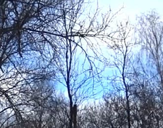 Экшн-камера Sony HDR-AZ1