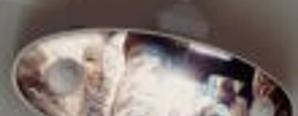 Фотографии «геймпада NX» – шутка умелых энтузиастов