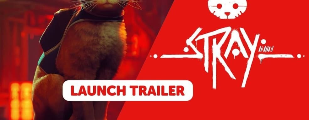 Stray доступна на Nintendo Switch в физическом и цифровом изданиях