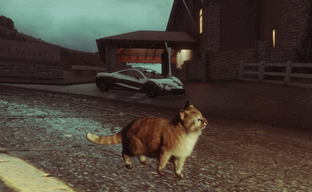 After 10 years, animals will appear in GTA Online, but not on PC. Rockstar will please next-gen console owners