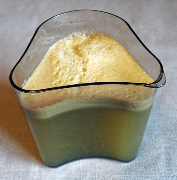 Шнековая соковыжималка Caso SJW400