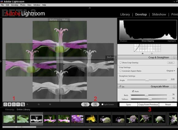 Adobe Lightroom