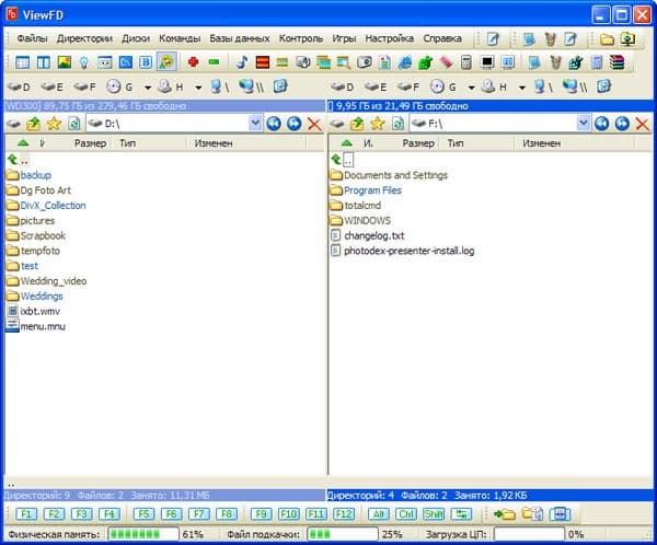 Рабочее окно ViewFD