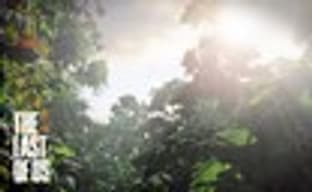 The Last of Us - новые тизеры