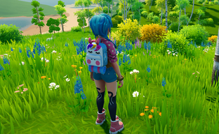 Инди-разработчик симулятора фермы показал физику груди и травмировал чувствительных девушек-геймеров. Пришлось извиняться