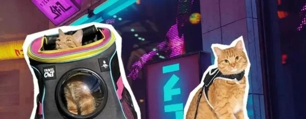 Создатели Stray выпустят специальный рюкзак для кошки