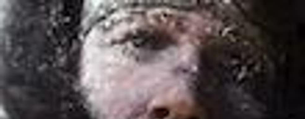 Frostpunk — холодный расчёт