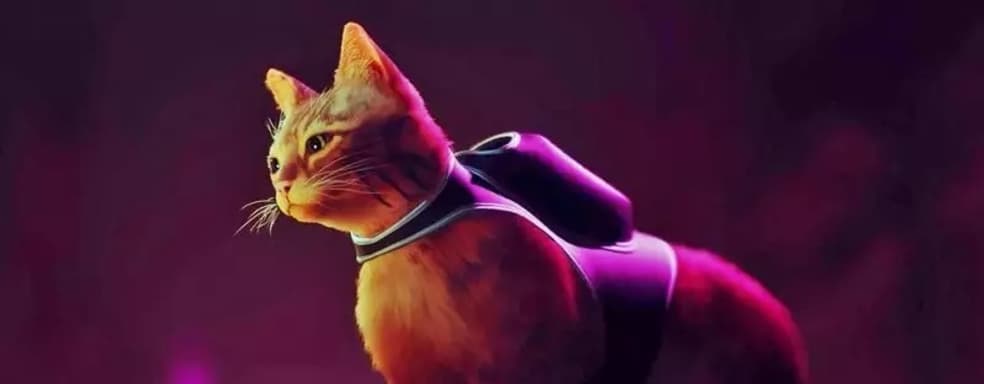 Кот – не единственный главный персонаж Stray. Игровой процесс футуристического приключения