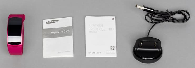 Умный браслет Samsung Gear Fit2 с док-насадкой Умный браслет Samsung Gear Fit2 с док-насадкой