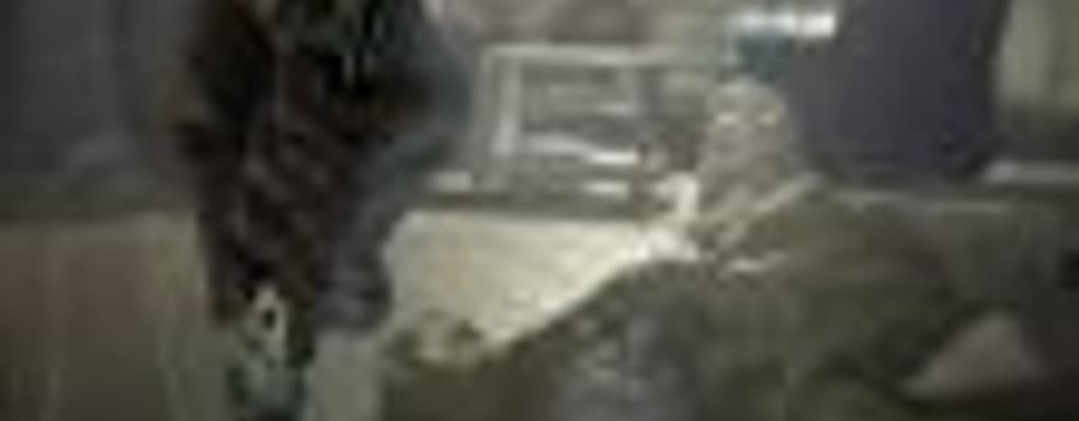 Разработчики Denuvo прокомментировали взлом системы защиты в Resident Evil 7