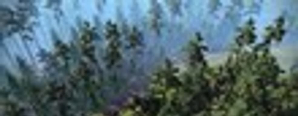 Анонс RuneMaster RPG