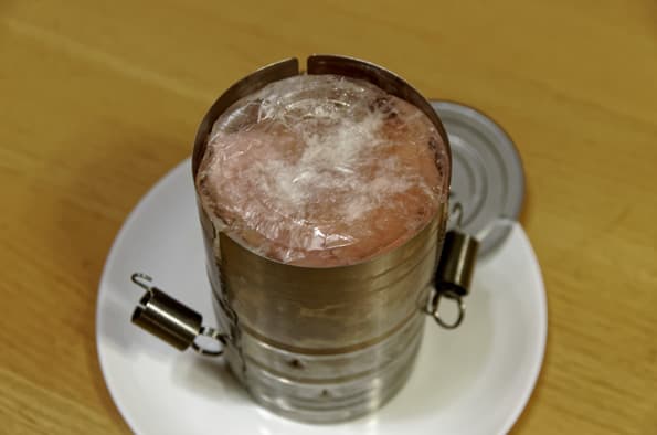 ветчинница Endever Skyline HM 004