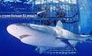 EA нe смогла купить Take-Two. Пока не смогла…