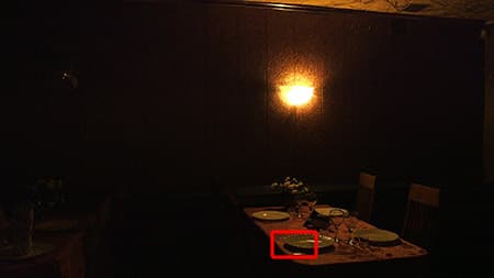 Видеокамера Canon EOS C100