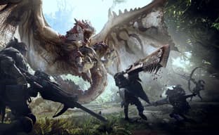 Странный феномен серии Monster Hunter