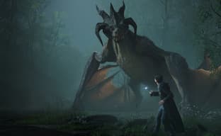 «Bully в Хогвартсе». Стали известны новые детали Hogwarts Legacy