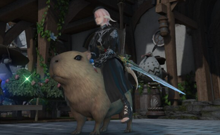 Китай подтвердил существование мобильной Final Fantasy 14