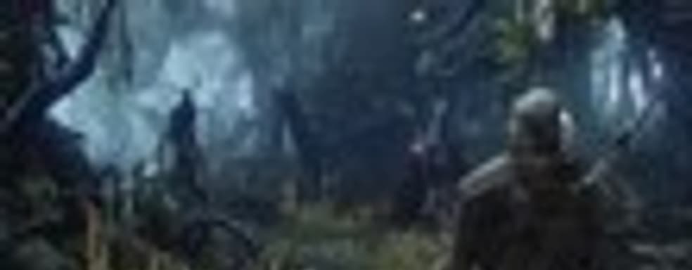 При создании The Witcher 2 разработчики вдохновлялись Dark Souls