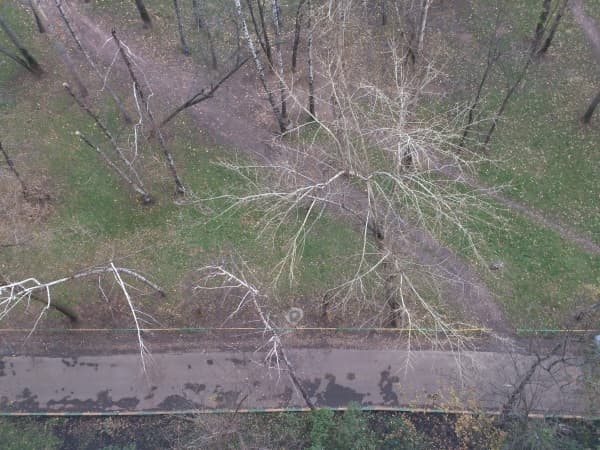 Обзор смартфона Sony Xperia TX