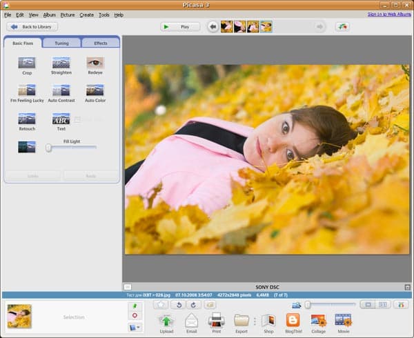 Просмотр и корректировка изображения в Picasa