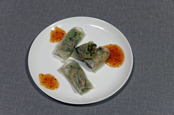 Проращиватель Rawmid DS-01