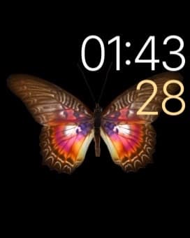 Скриншот с умных часов Apple Watch