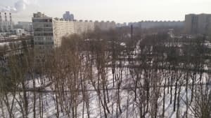 обзор смартфона Sony Xperia ZL