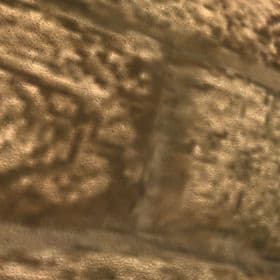 Texture quality Medium