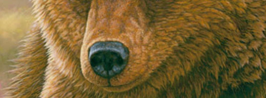 Россиянам в EGS две недели подряд будут раздавать ничего. В магазине ввели региональные ограничения на LOVE и не только