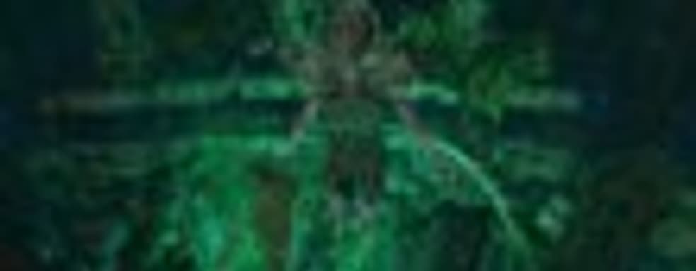 Дополнение Path of Exile: Forsaken Masters