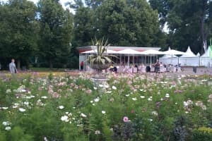 примеры снимков HTC Desire C