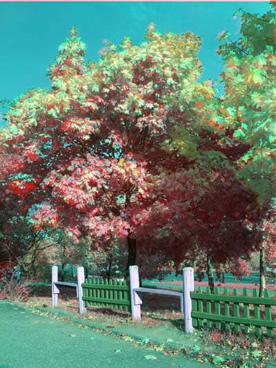 Комбинированный снимок