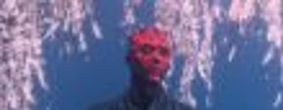 От 2В, Геральта и Данте до Дарта Мола и Скорпиона  – мод добавляет в Sekiro 25 персонажей