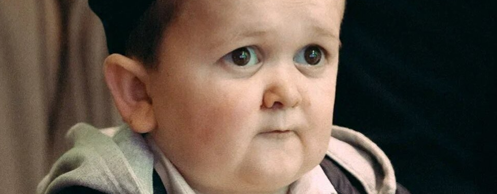 Хасбика заметили в UFC 5. Новинка EA порадовала поклонников