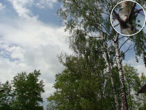 Посмотреть в полный размер, 460КБ