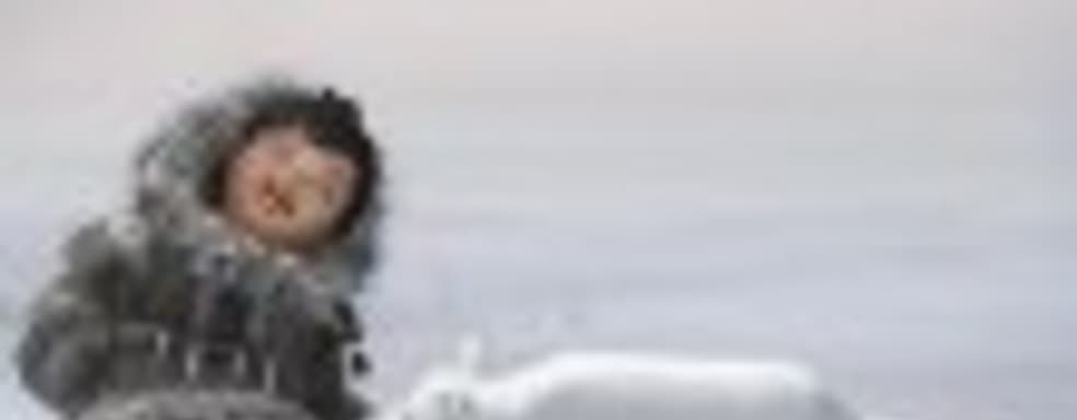 Never Alone: проблемы крайнего севера