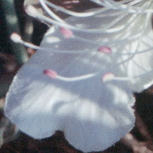 Фрагмент 1:2