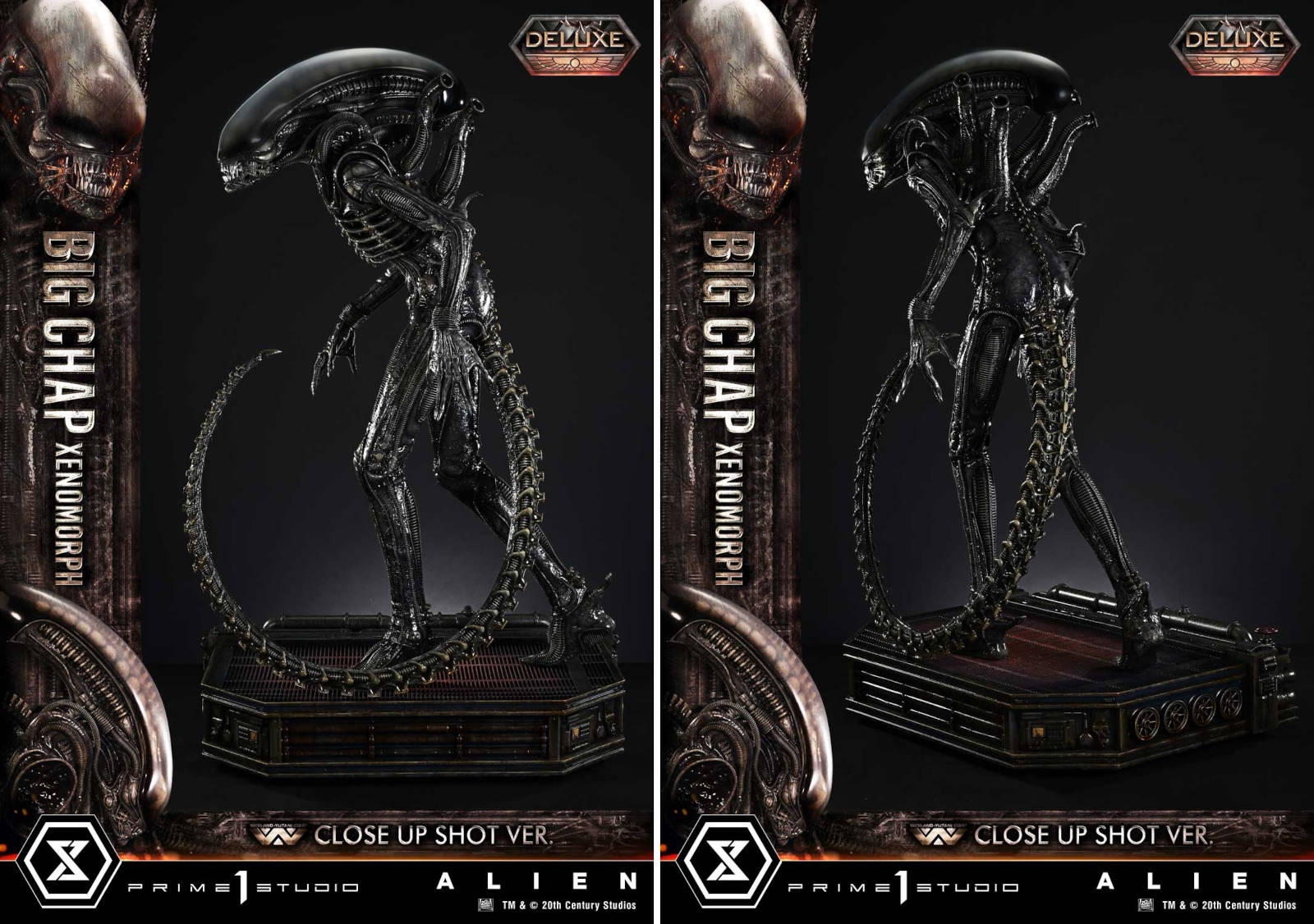 Close-up of Prime 1 Studio Alien Xenomorph head and details