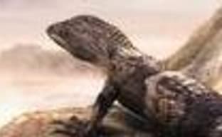 ORiGO GAMES анонсирует PS3-эксклюзив Data Fly на GDC. Тизер