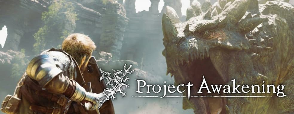 Project Awakening от авторов Granblue Fantasy Relink до сих пор жив