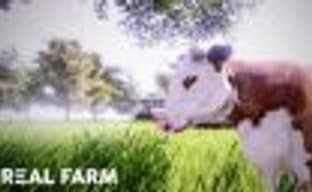 Трейлер и дата выхода симулятора фермера Real Farm