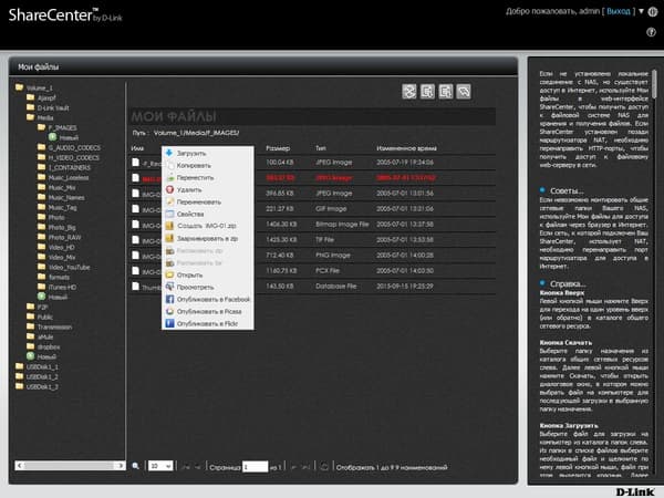 Интерфейс D-Link DNS-327L