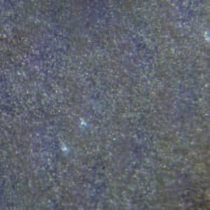 Обзор часов Qualcomm Toq. Тестирование дисплея