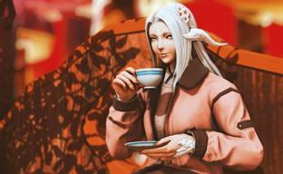 Square Enix потратила месяц на исправление «одной цифры» в лотерее Final Fantasy 14