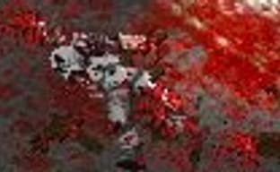 Zombie Shooter – протухшее мясо