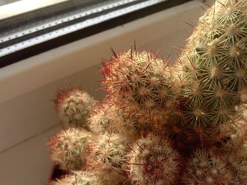 Обзор LG Optimus L9