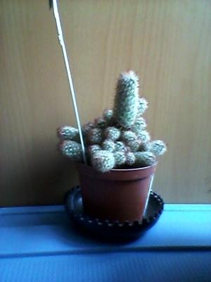 Обзор смартфона Samsung Galaxy Xcover 2