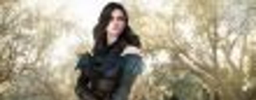 Netflix снимет телесериал по мотивам книг The Witcher